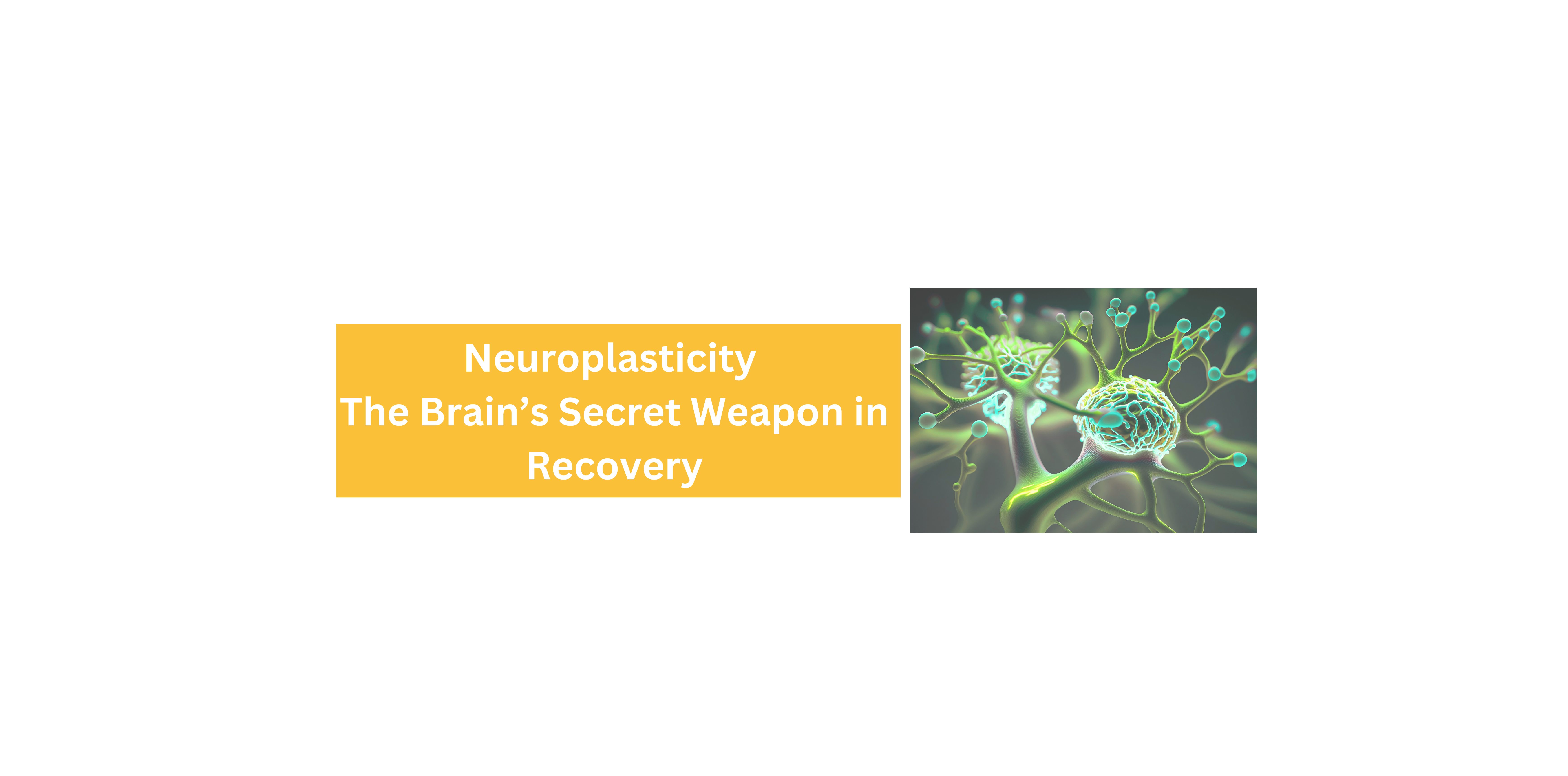 Neuroplasticity: The Brain’s Secret Weapon in Recovery banner